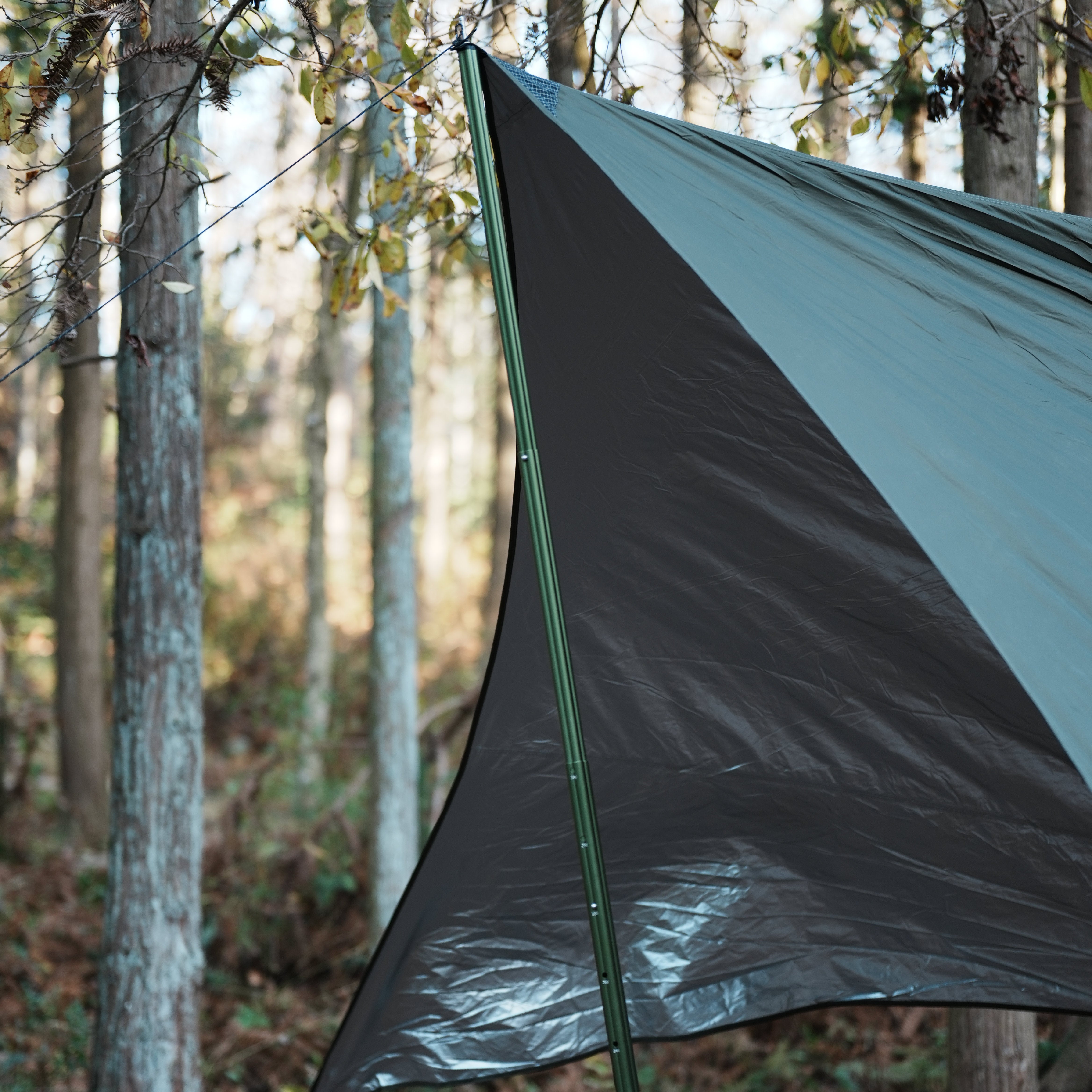 Tarp Pole